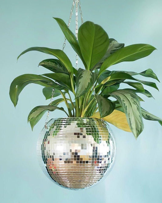 Disco Ball Hanging Herb Planters for Indoor